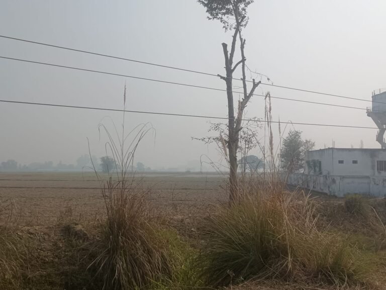 सावधान: बिजली तारों और ट्रांसफार्मर के नीचे न जलाएं होली, ऊर्जा विभाग ने जारी की विशेष एडवाइजरी