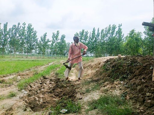 20 जून तक पहुंचेगा मानसून, लेकिन खेती के लायक बारिश के लिए अभी करना होगा इंतजार